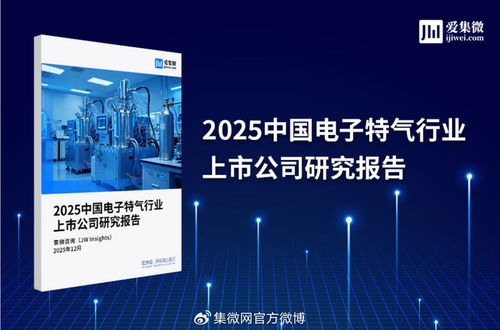 2025中國(guó)電子特氣行業(yè)上市公司研究報(bào)告 技術(shù)驅(qū)動(dòng)下的競(jìng)爭(zhēng)格局與市場(chǎng)展望