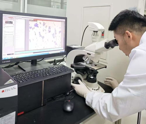 38.97億刷新紀錄！呼和浩特科創成果轉化跑出“首府速度”